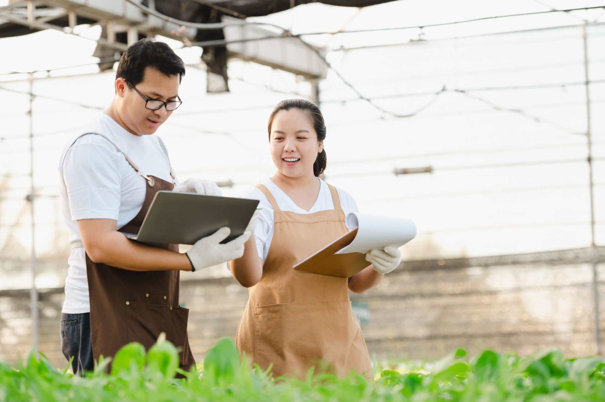 jangan-asal-masuk-jurusan-agribisnis-ketahui-dulu-mata-pelajaran-basic-wajibnya